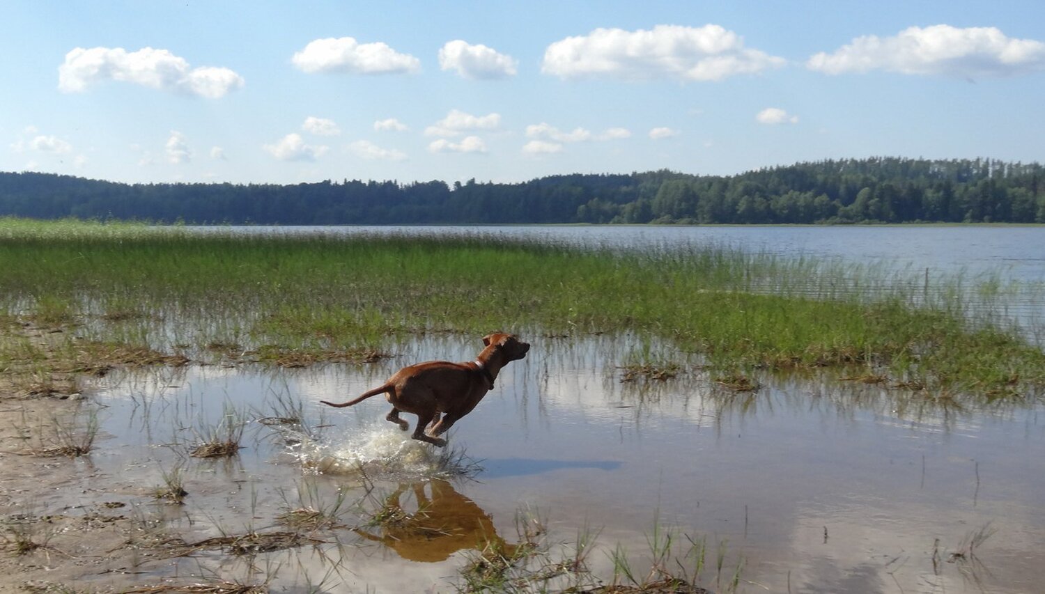 Photo #3904378