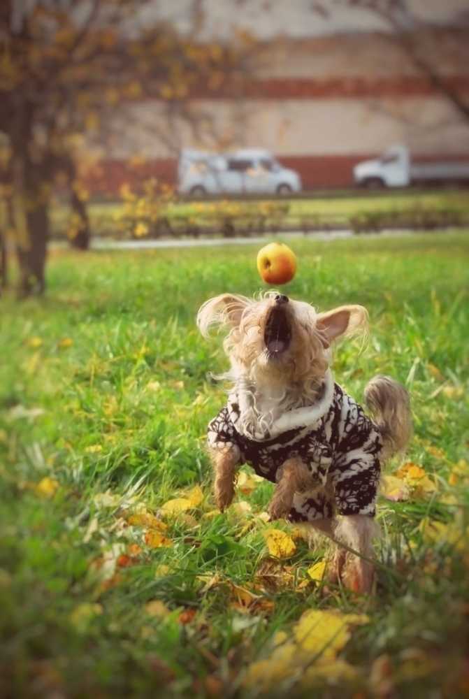 Photograph by Gloomy.27