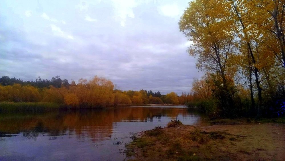 лесная сказка