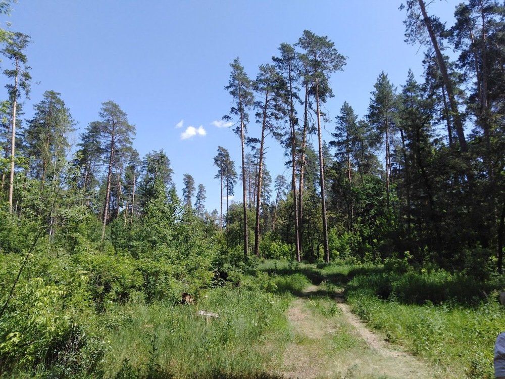 Photograph by Саша Шорин