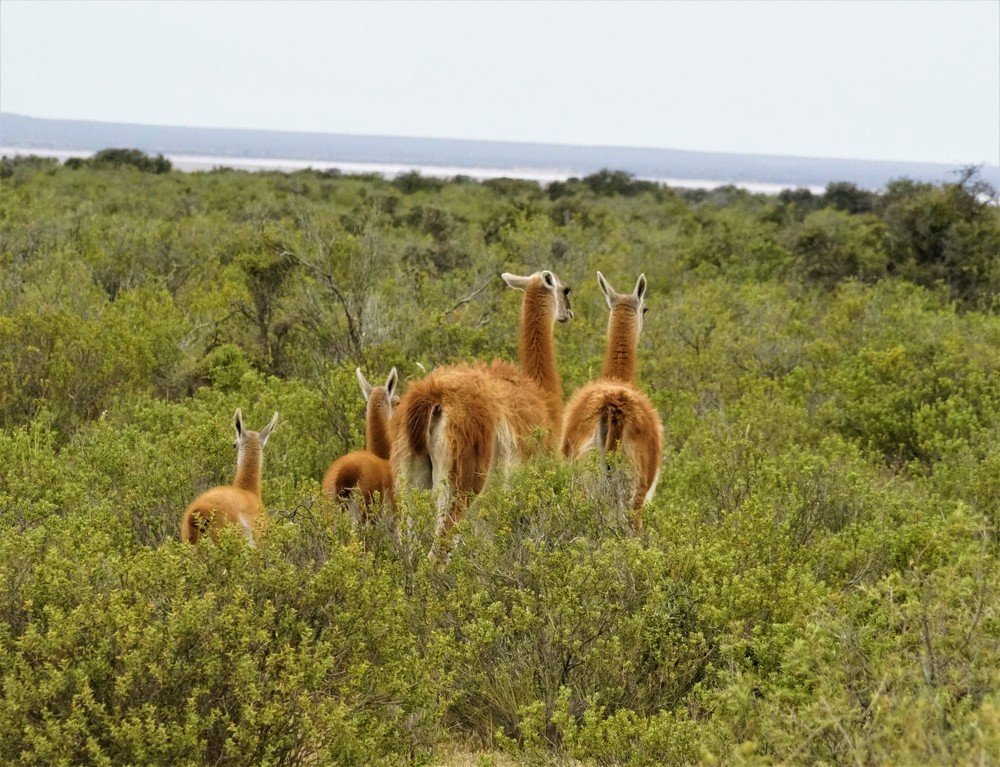 Photograph by Karina Elena Bergagna