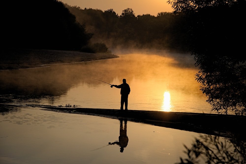 Фотография автора Алексей Григорьев