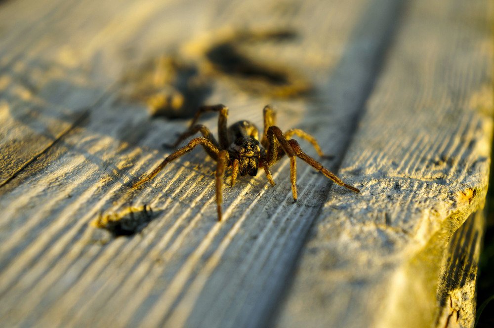 Photograph by Сергей Эккарт