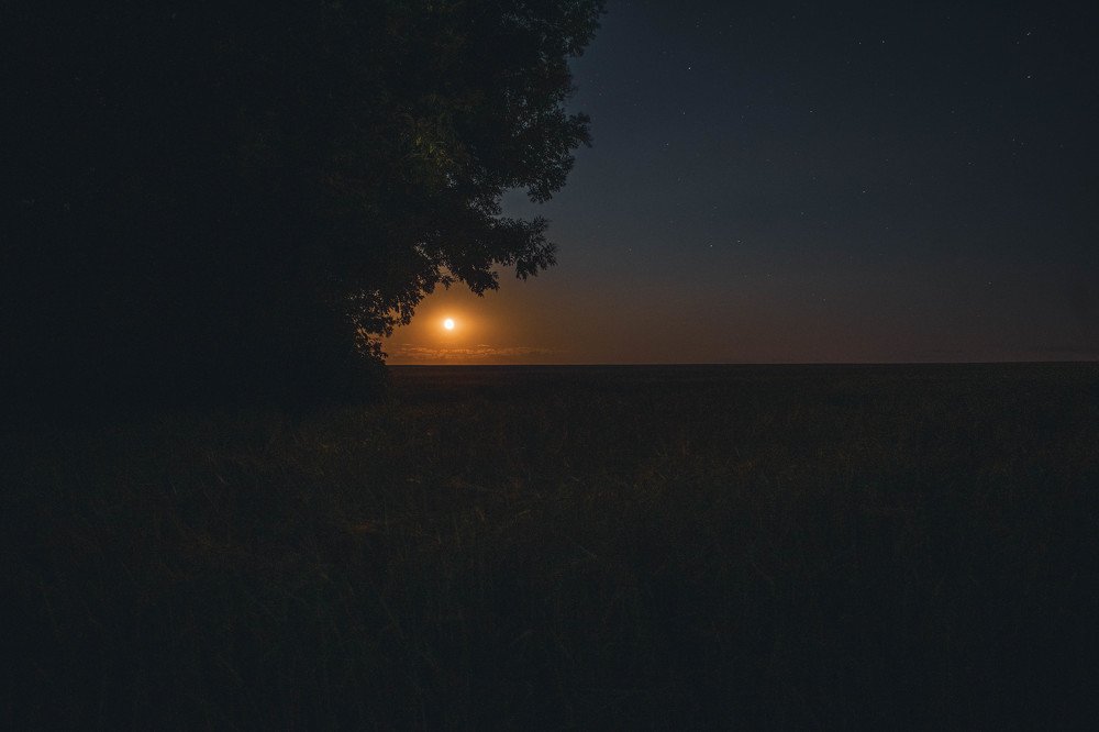 Photograph by Алексей Коротеев