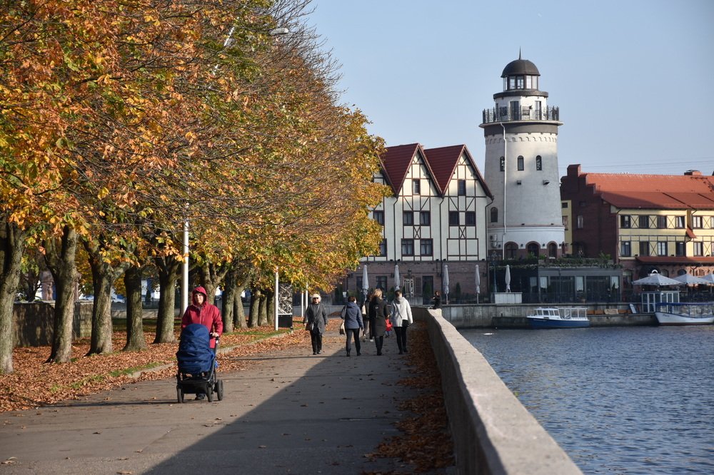 Photograph by Людмила Комарова