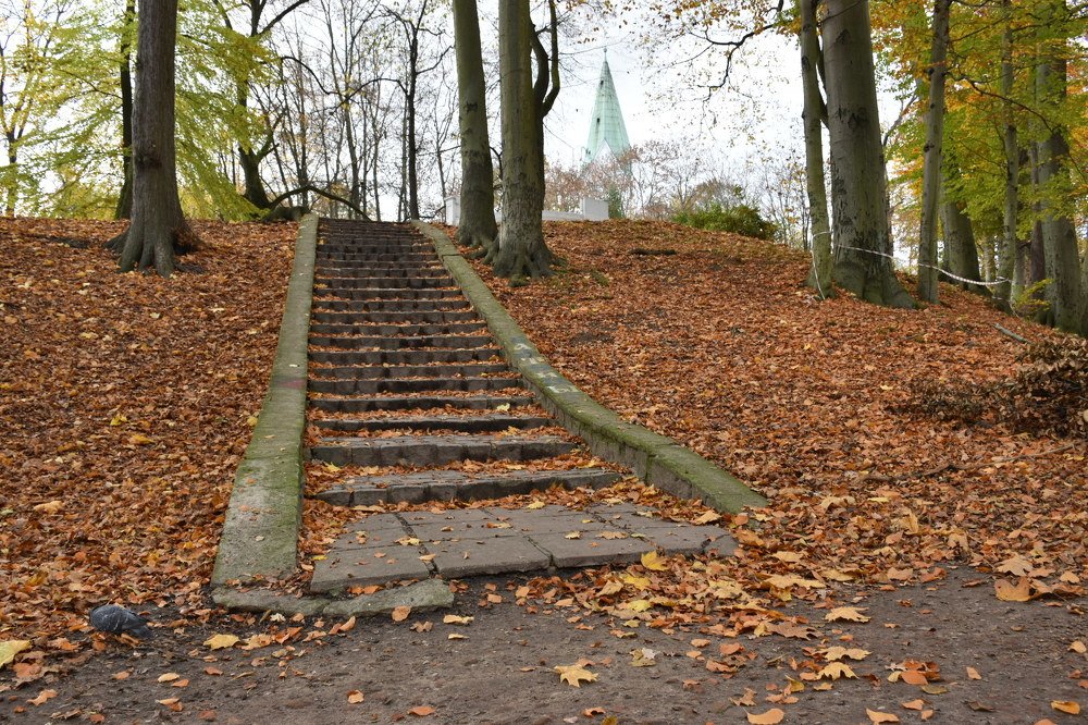 Photograph by Людмила Комарова