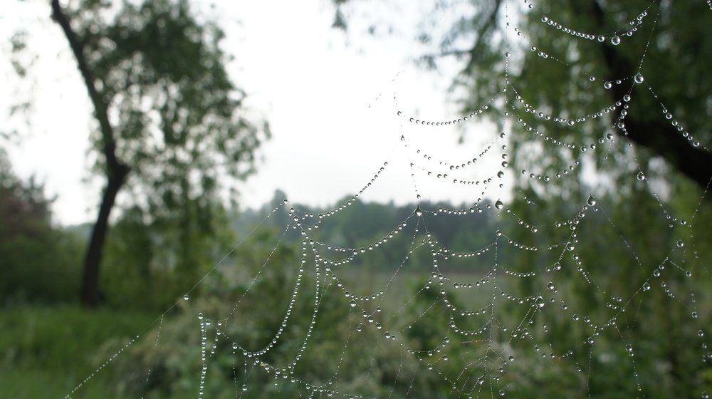 Фотография автора Дмитрий Градинар