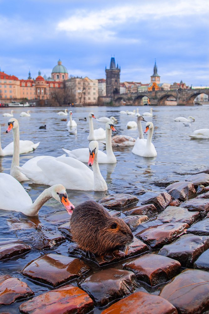 Photograph by Наталья Золотарева