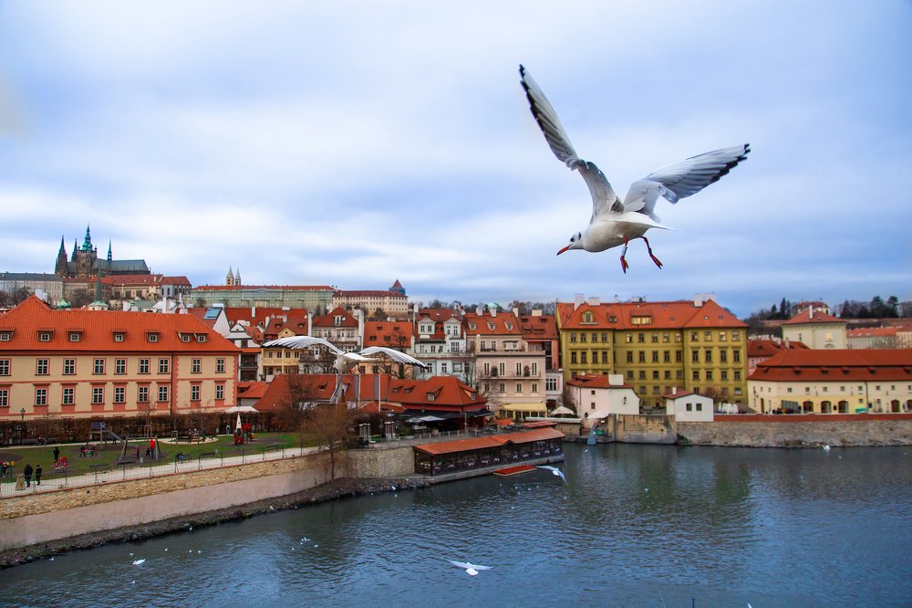 Photograph by Наталья Золотарева