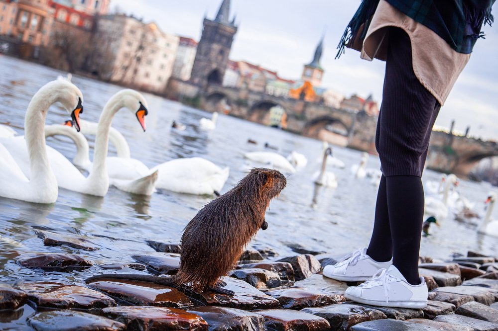 Photograph by Наталья Золотарева