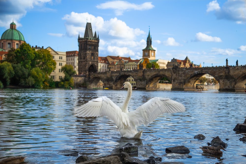 Photograph by Наталья Золотарева