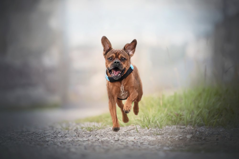 Photograph by Karina Saarestik