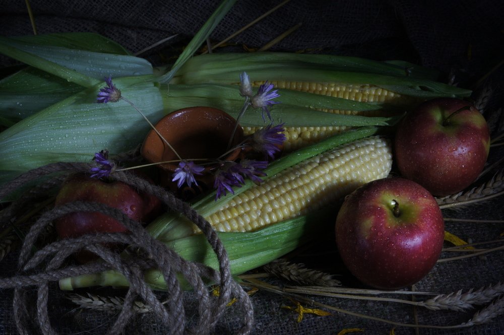 Фотография автора Дмитрий Градинар