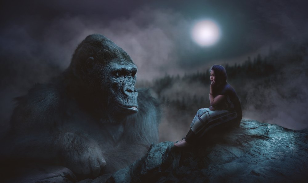 Photograph by SANDIP BANERJEE