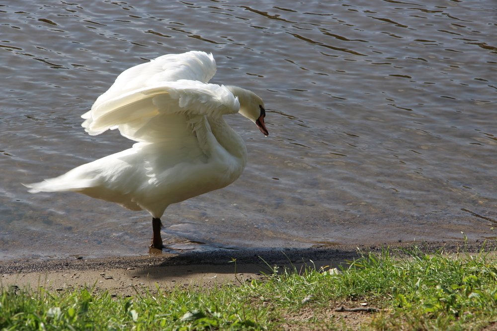 После купания.