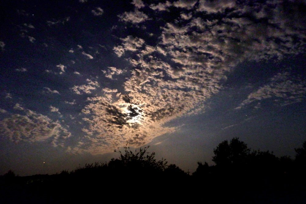 Photograph by Диана Арье