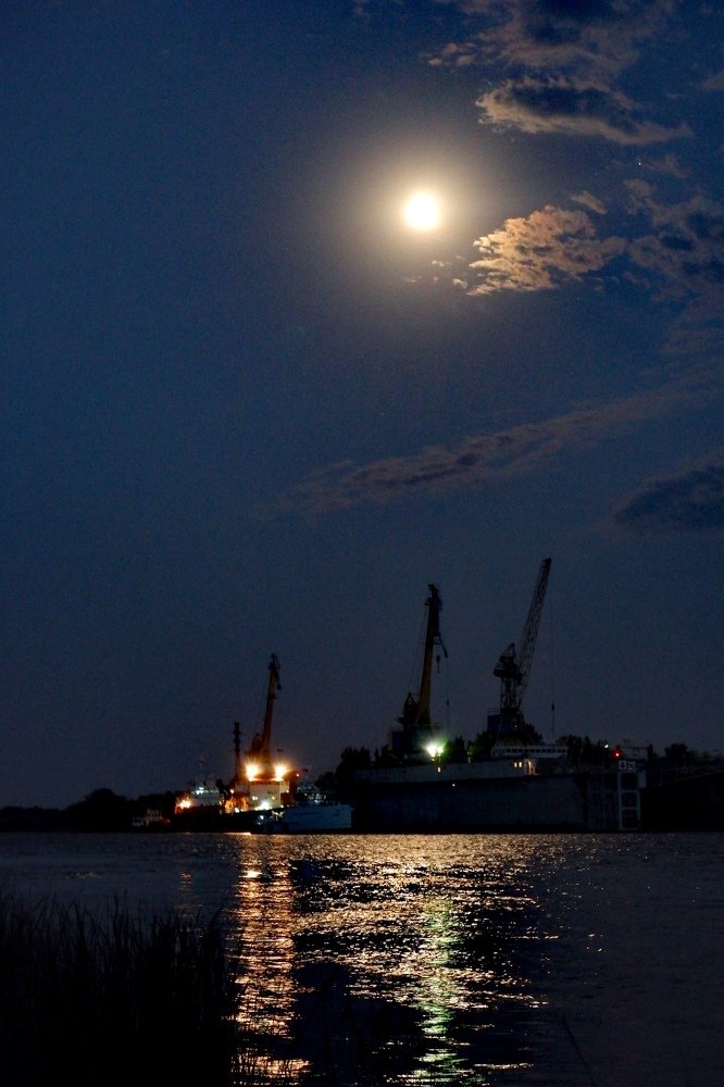 Photograph by Диана Арье