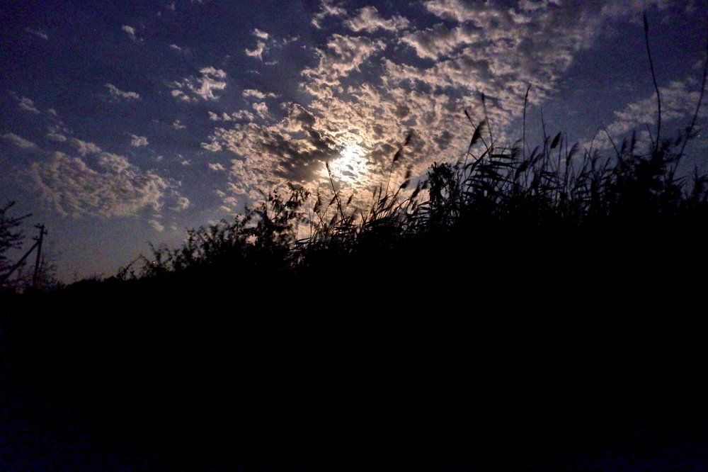 Photograph by Диана Арье