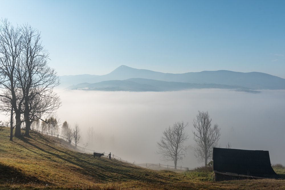 Photograph by Крицак Ольга