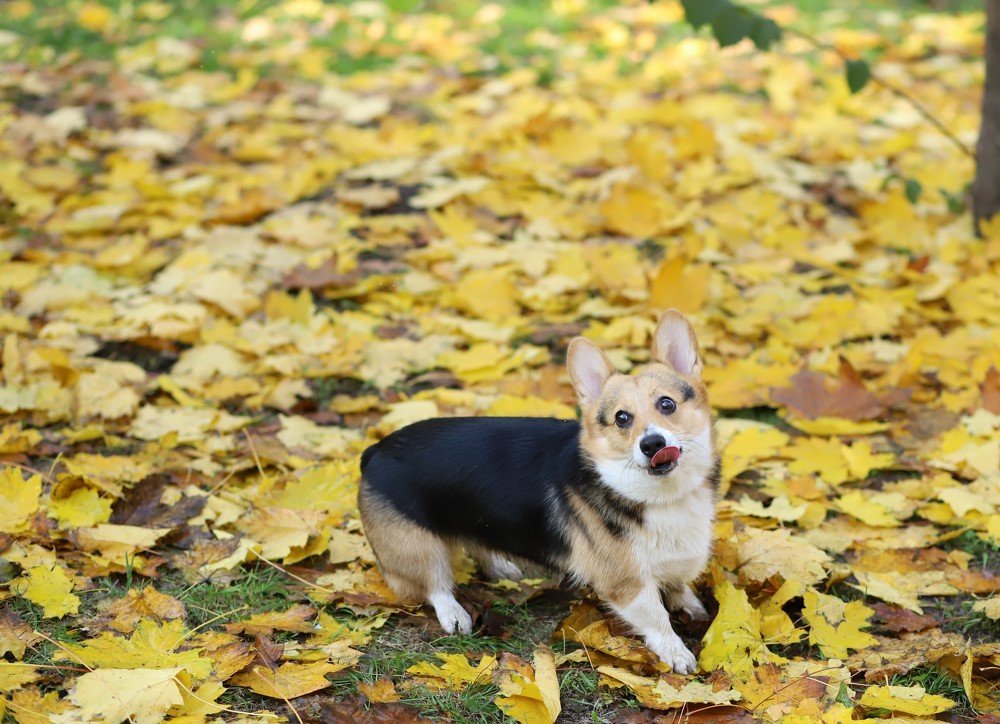 Photograph by Анастасия Березенко