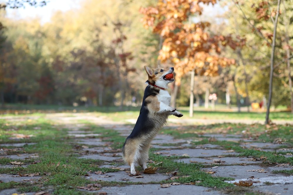 Photograph by Анастасия Березенко