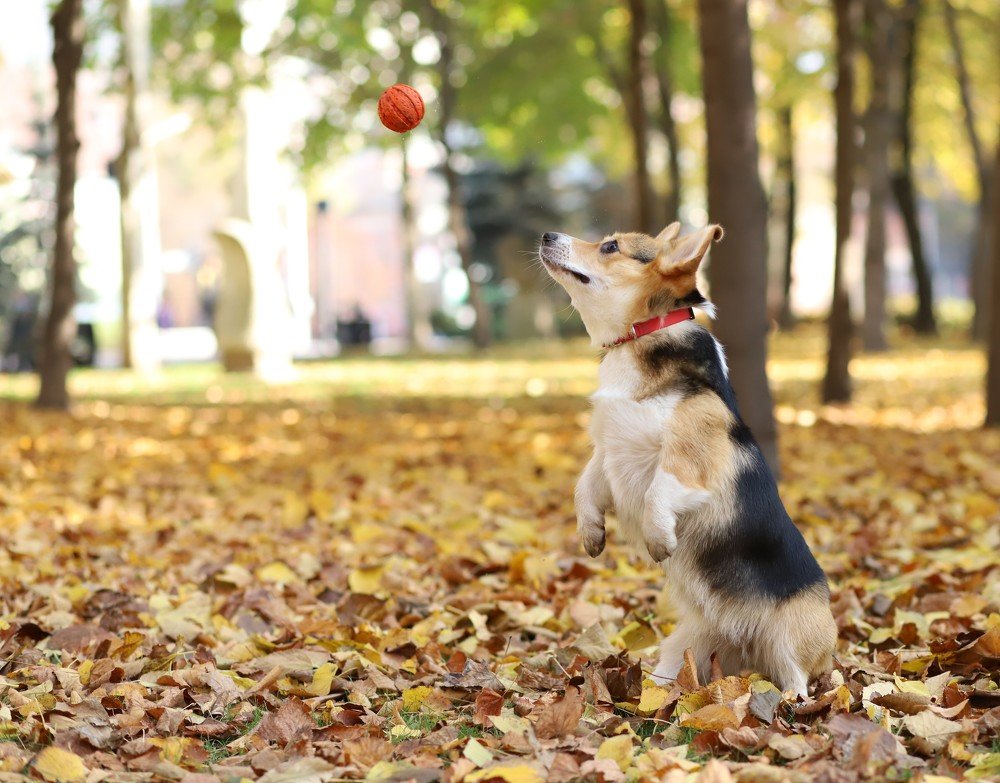 Photograph by Анастасия Березенко