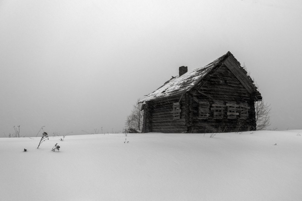 Photograph by Крицак Ольга