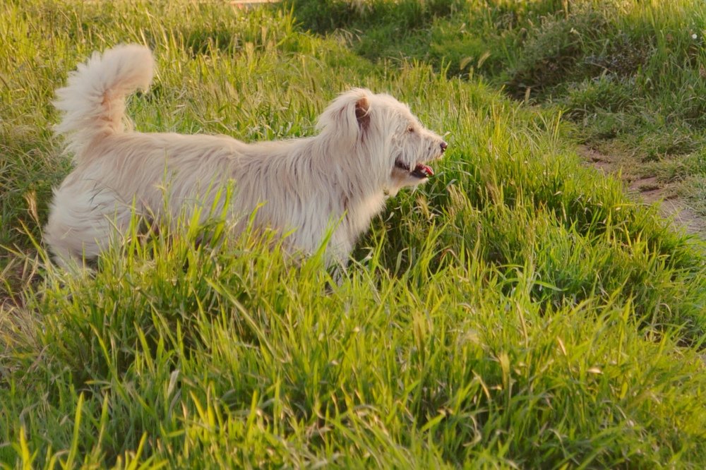 Photograph by Татьяна Рябова