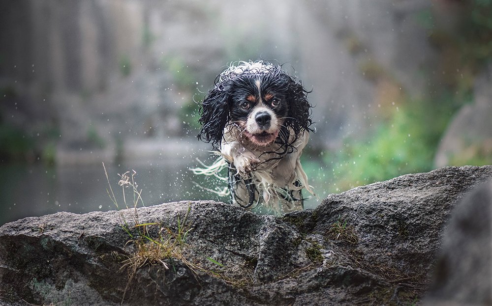 Photograph by Alena Trojanovičová