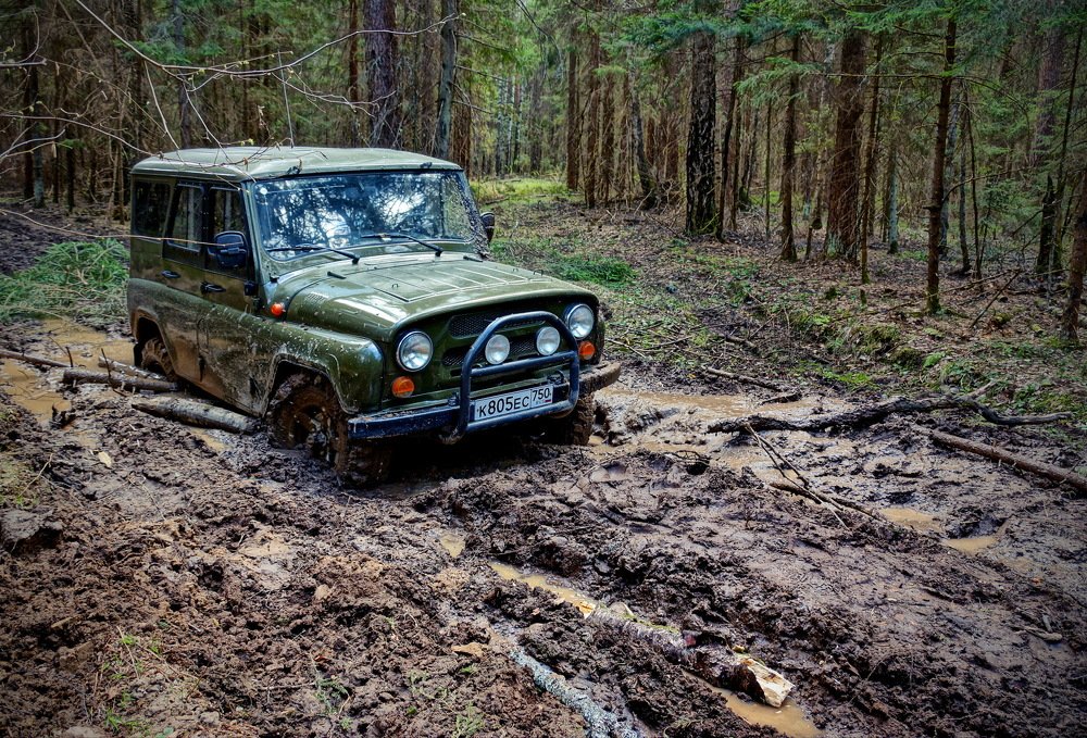 Photograph by Евгений Жиляев