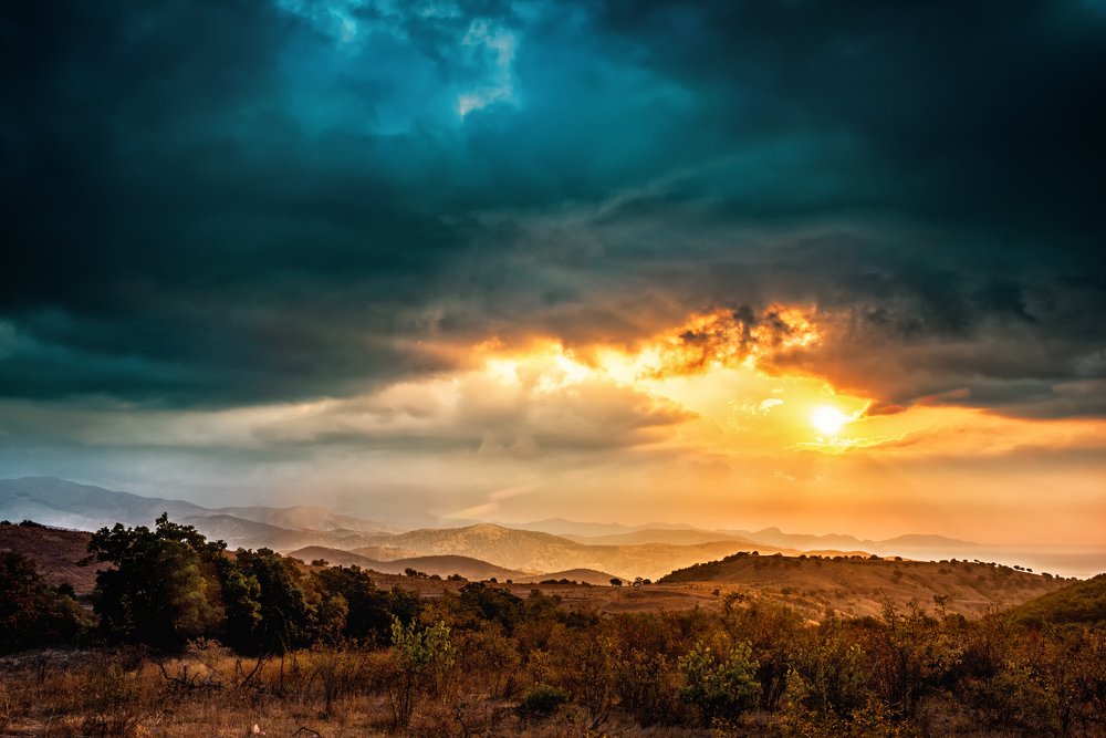 Photograph by Алексей Бортиков