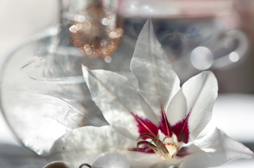 Photograph by Antonina