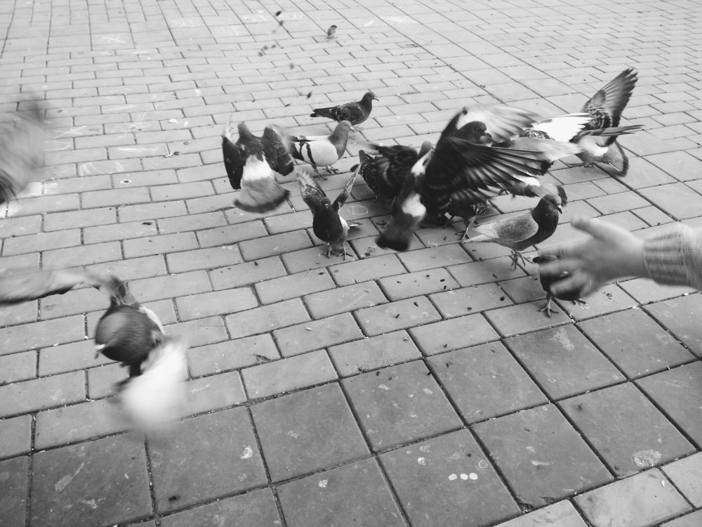 Photograph by Анна Копанева