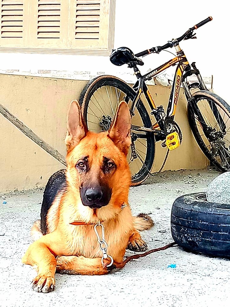 Photograph by sohail abbas gama gama