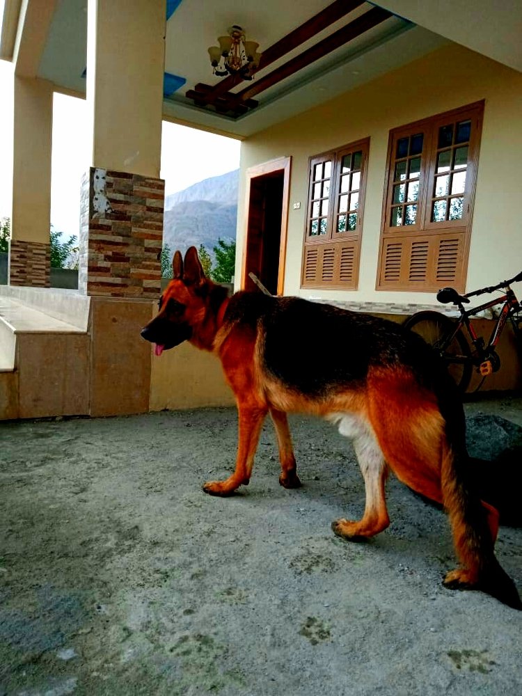 Photograph by sohail abbas gama gama