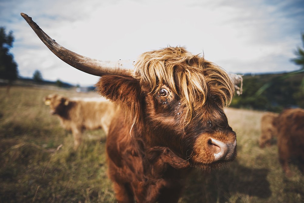 Photograph by Alena Trojanovičová