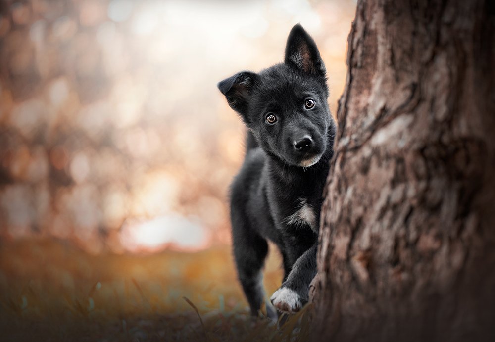 Photograph by Alena Trojanovičová