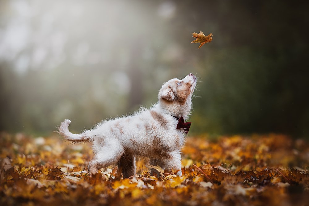 Photograph by Alena Trojanovičová