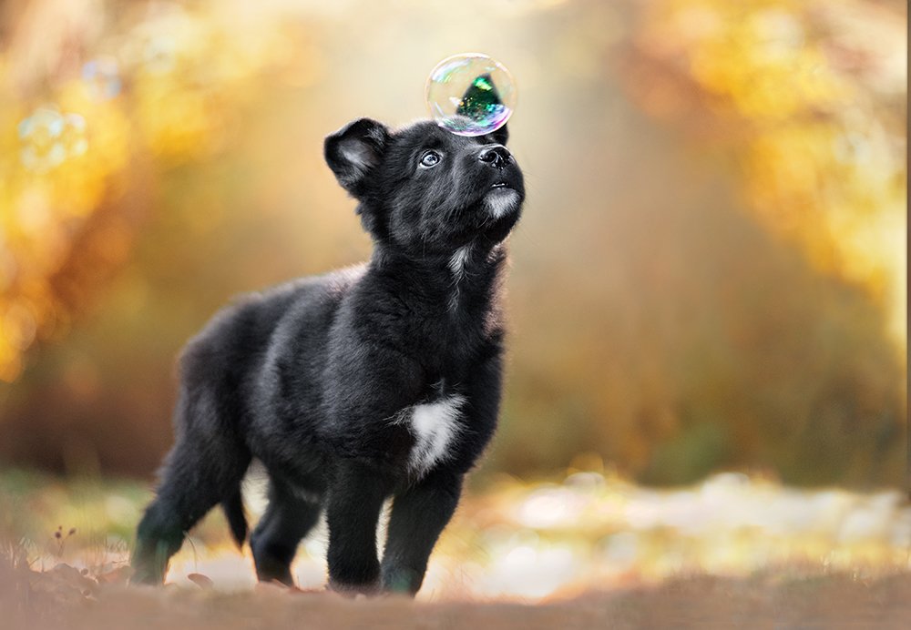 Photograph by Alena Trojanovičová