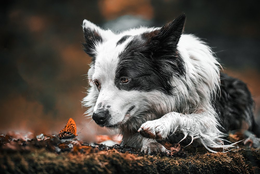 Photograph by Alena Trojanovičová