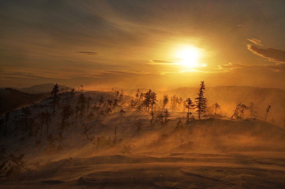 Photograph by Ирина Щеглова