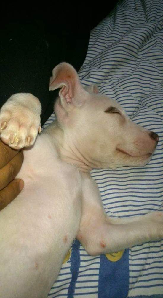 Photograph by Eliud Brancuzzy 12