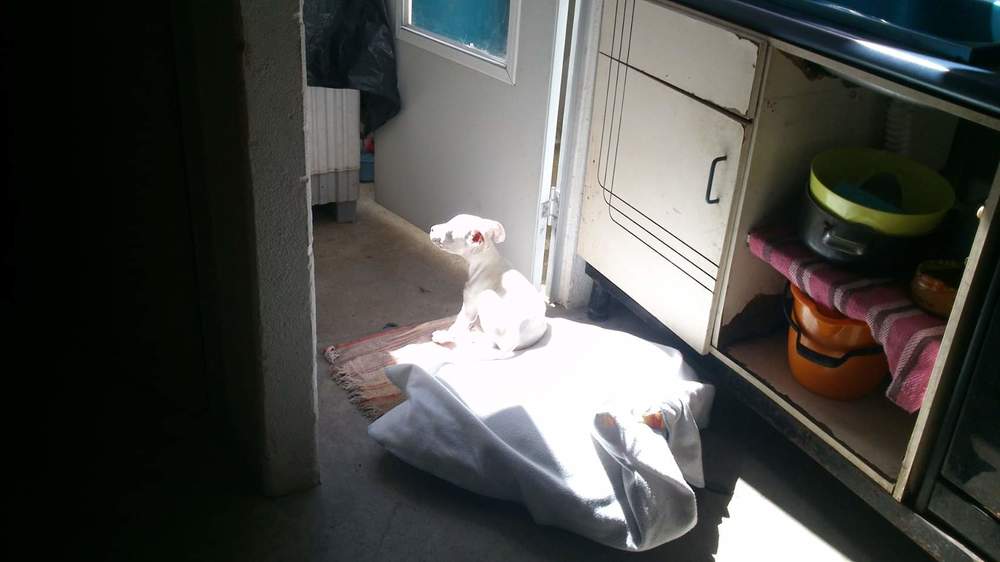 Photograph by Eliud Brancuzzy 12