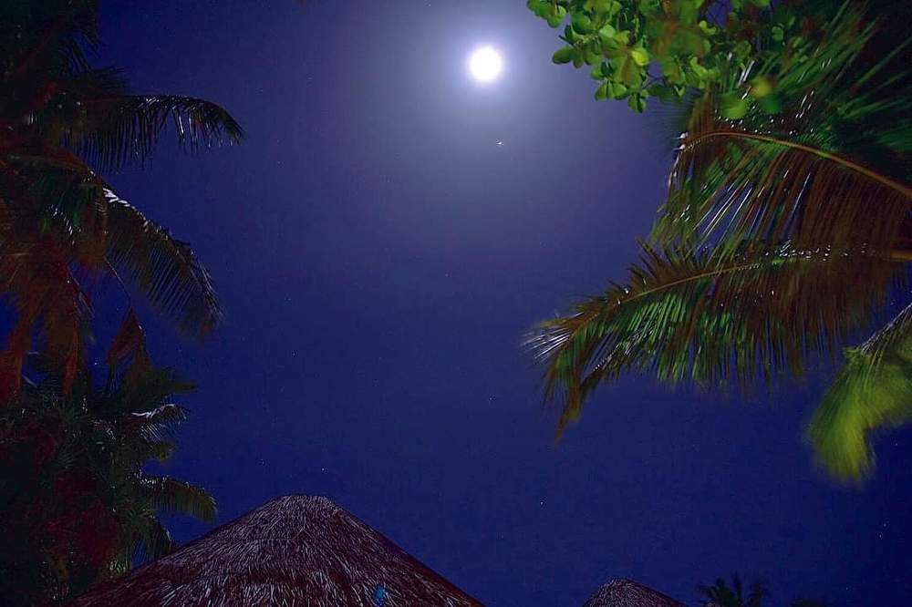 Photograph by Ольга Смагаринская