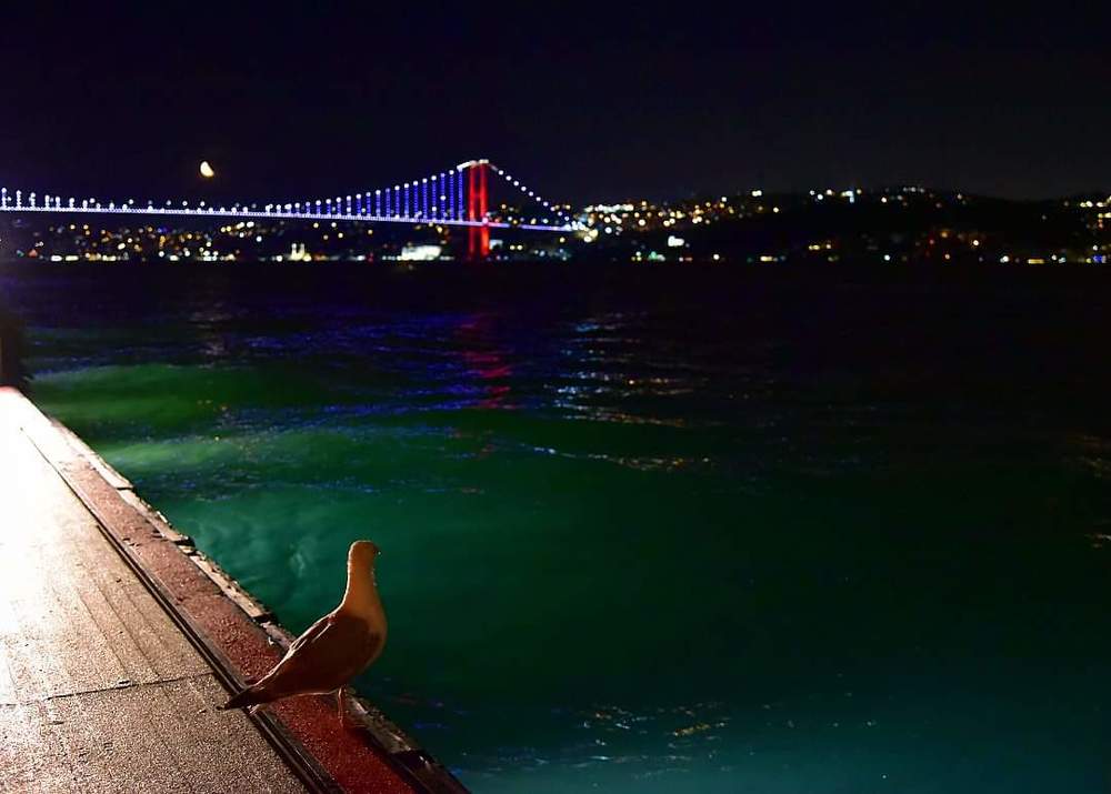 Photograph by Ольга Смагаринская