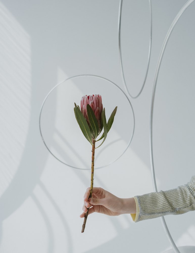 Photograph by Лилия Бондаренко