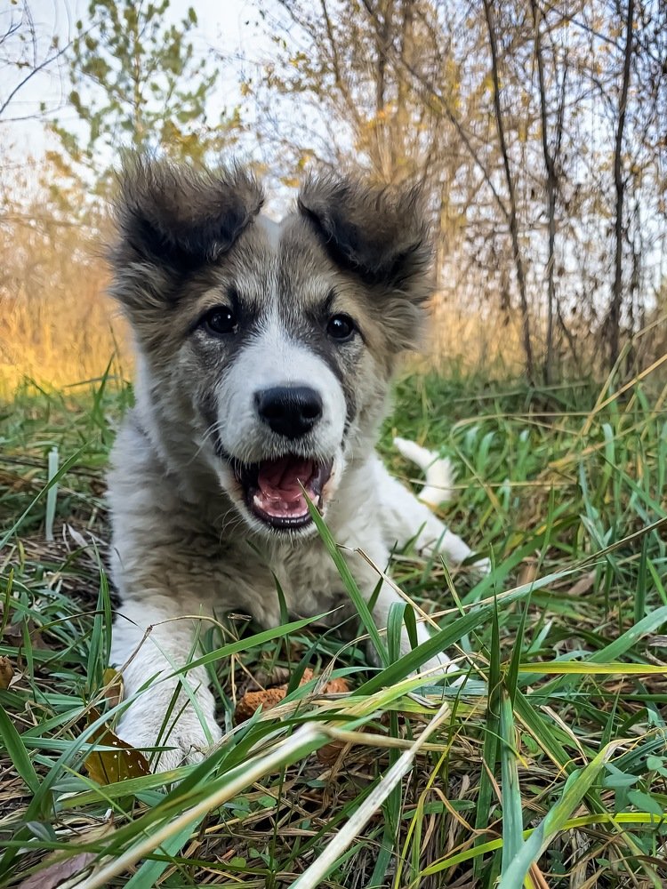 Photograph by Марат Аязбаев