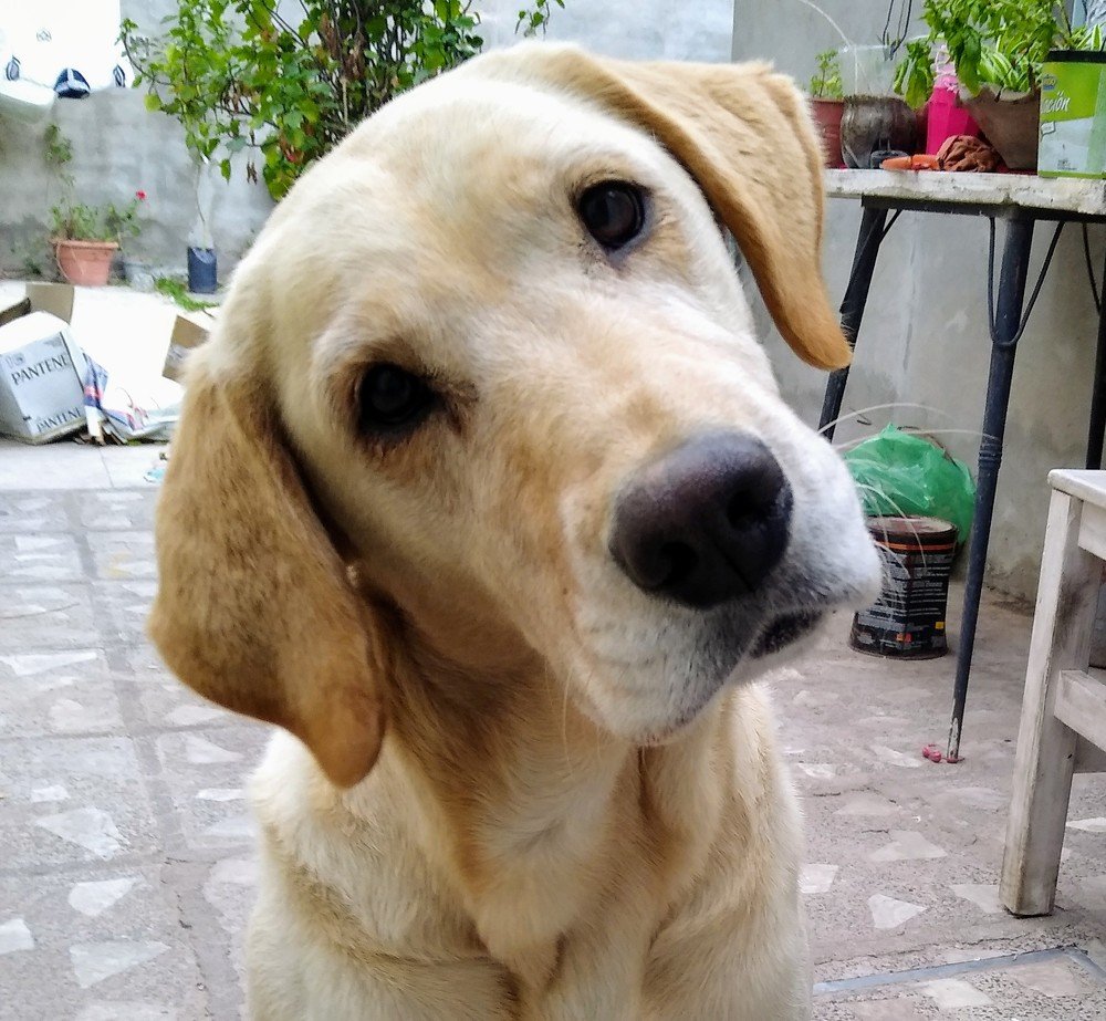 Photograph by Sandra Verónica Bertorello