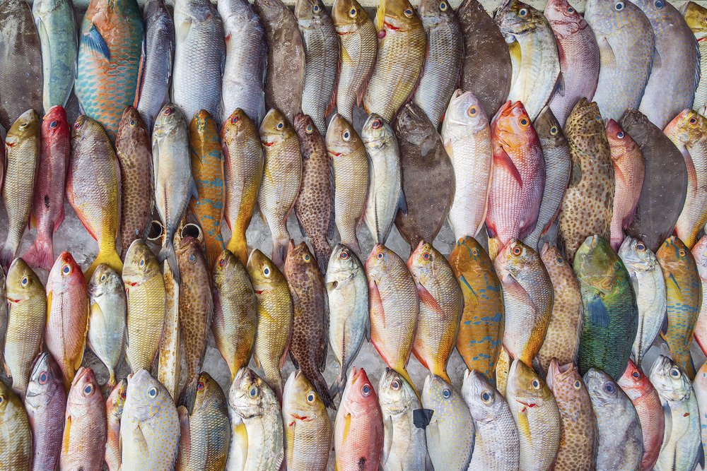 Photograph by Ales Tvrdy