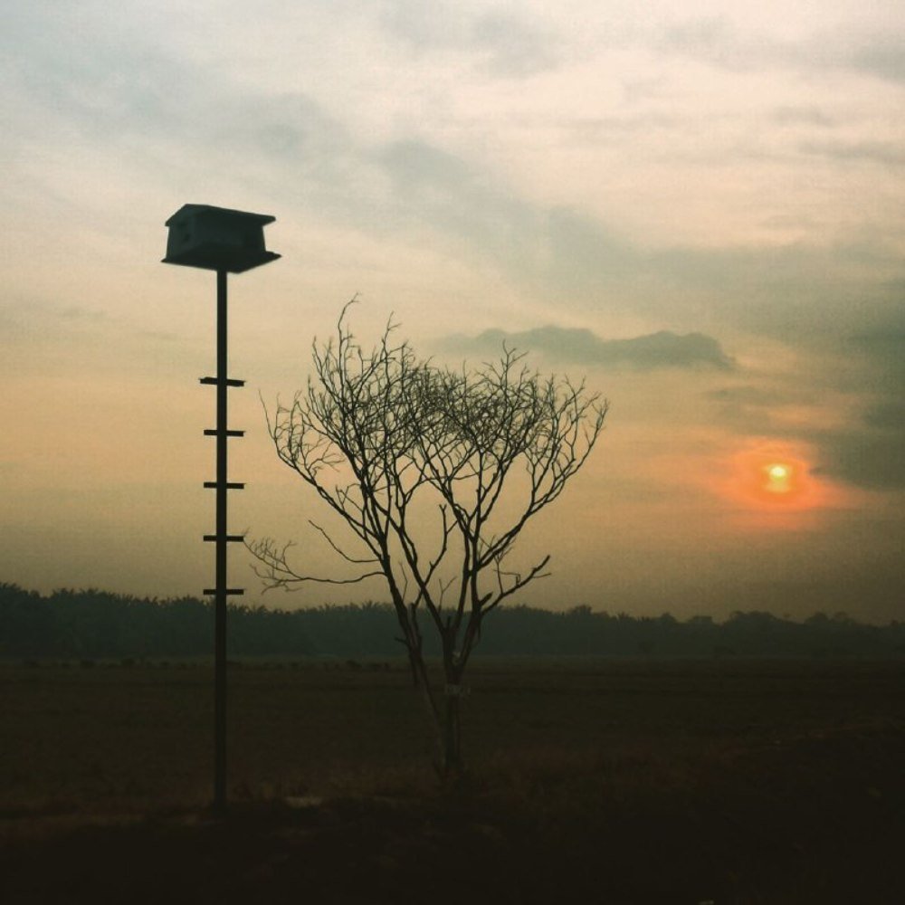 Фотография автора Nik Usamah Nik Zainuldin